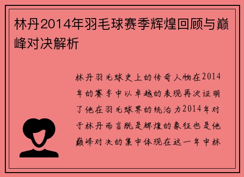 林丹2014年羽毛球赛季辉煌回顾与巅峰对决解析